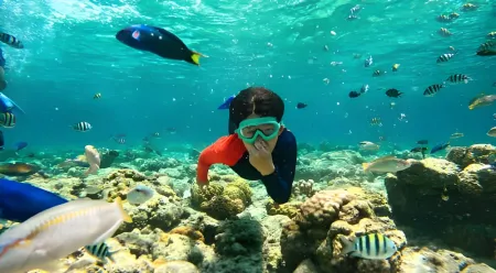 Hurghada Day Tours
