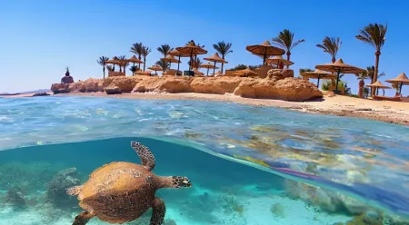Marsa Alam Day Tours